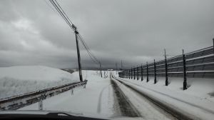 雪の仁賀保高原