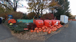 やくらいガーデンの星あかりへ